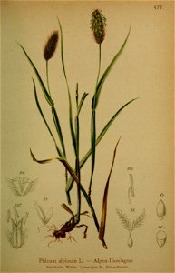 n206_w1150
