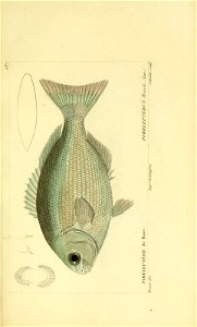 n102_w1150