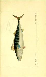n160_w1150