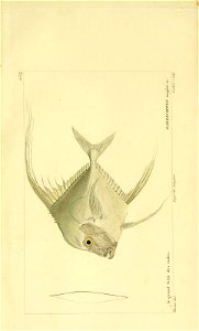 n226_w1150