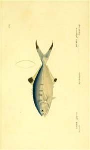 n194_w1150
