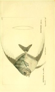 n224_w1150
