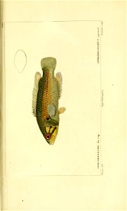 n128_w1150