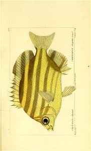 n68_w1150