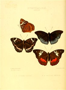 n139_w1150