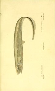 n208_w1150