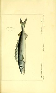n170_w1150