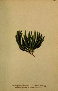 n236_w1150