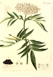 n552_w1150