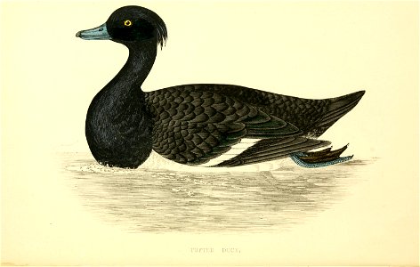 n115_w1150