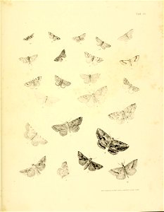 n434_w1150