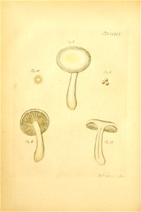 n169_w1150