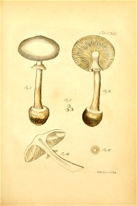 n154_w1150