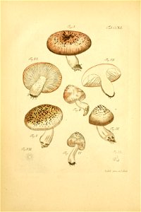 n153_w1150