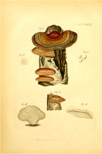 n183_w1150