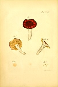 n167_w1150