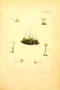 n152_w1150