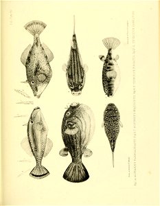 n364_w1150