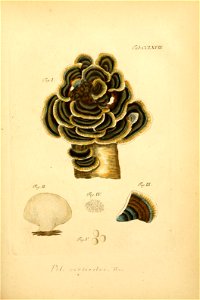 n182_w1150