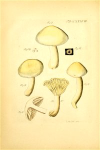 n151_w1150