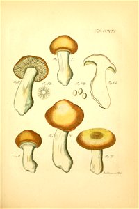 n136_w1150