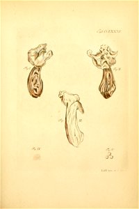 n198_w1150