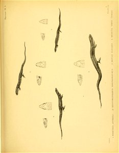 n258_w1150
