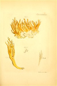 n206_w1150