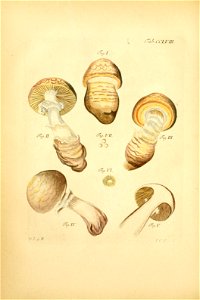 n171_w1150