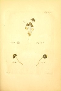 n126_w1150