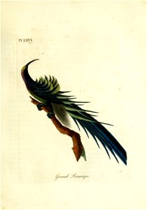 n126_w1150