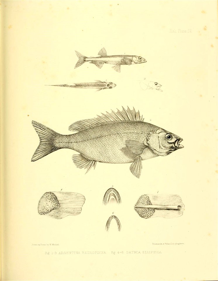 n390_w1150