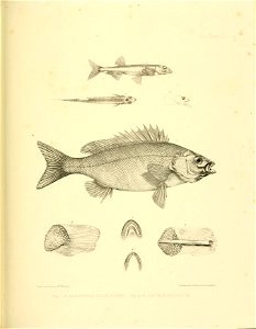 n390_w1150