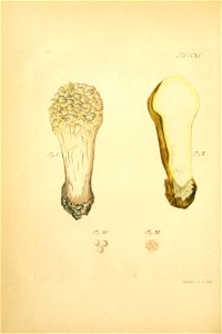 n207_w1150