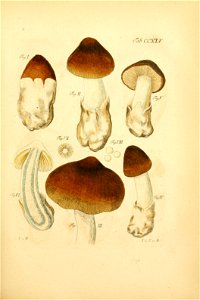 n158_w1150
