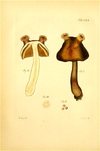 n173_w1150