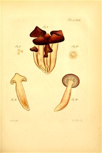 n172_w1150