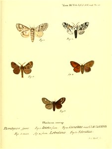 n172_w1150