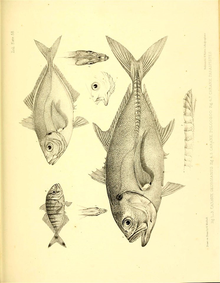 n402_w1150