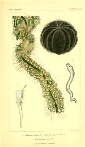 n296_w1150