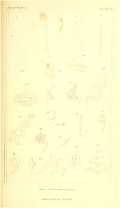 n52_w1150