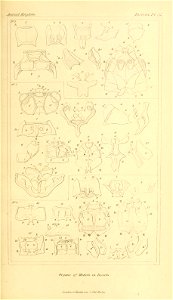 n110_w1150