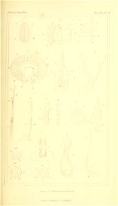 n50_w1150