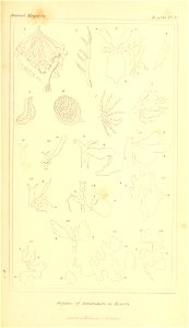 n78_w1150