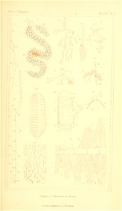 n48_w1150