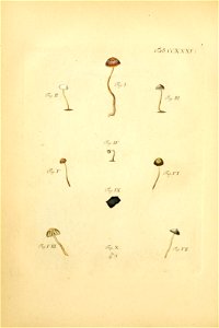 n149_w1150