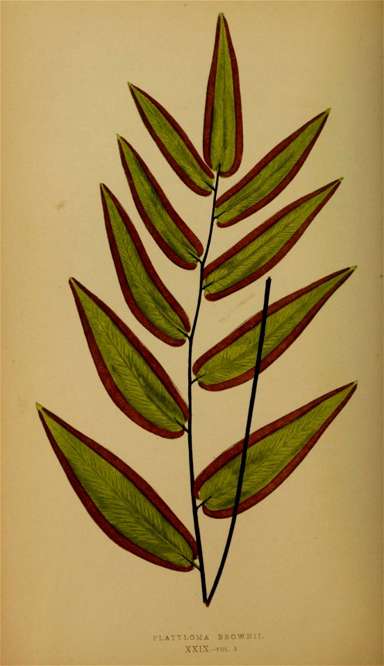 n153_w1150