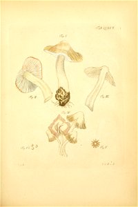 n170_w1150