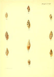 n359_w1150