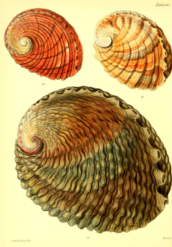 n291_w1150